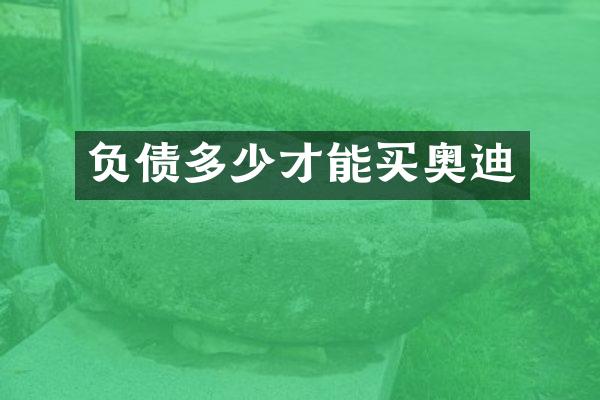 负债多少才能买奥迪
