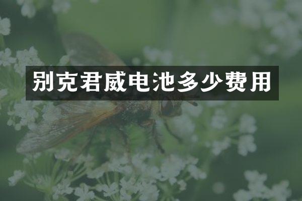 别克君威电池多少费用