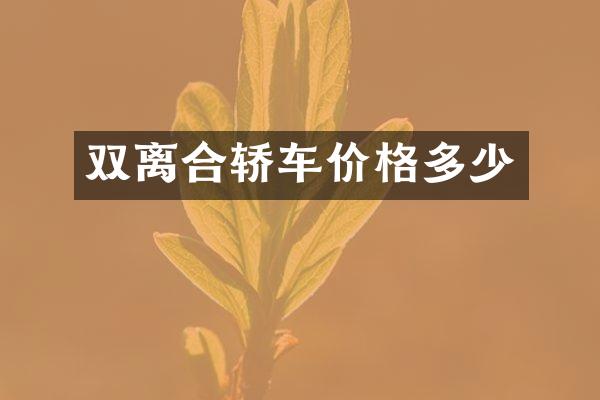 双离合轿车价格多少