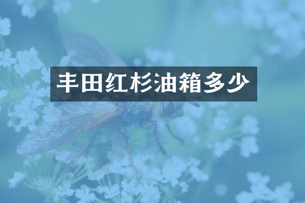 丰田红杉油箱多少
