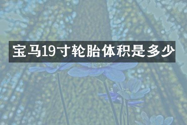宝马19寸轮胎体积是多少