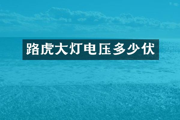 路虎大灯电压多少伏