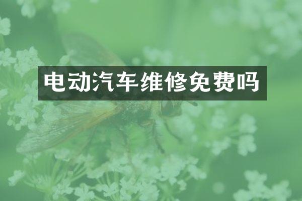 电动汽车维修免费吗