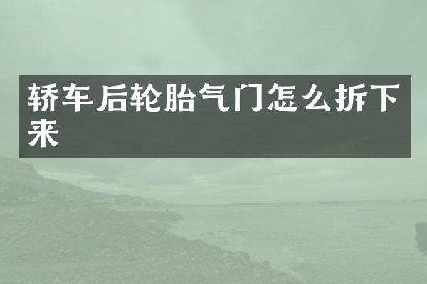 轿车后轮胎气门怎么拆下来
