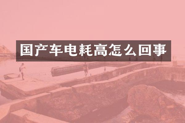 国产车电耗高怎么回事