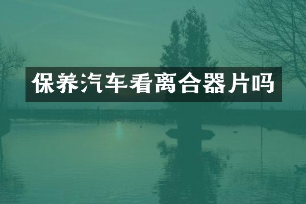保养汽车看离合器片吗