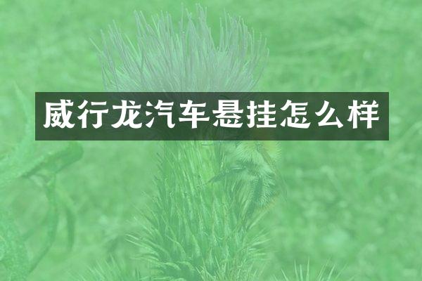 威行龙汽车悬挂怎么样