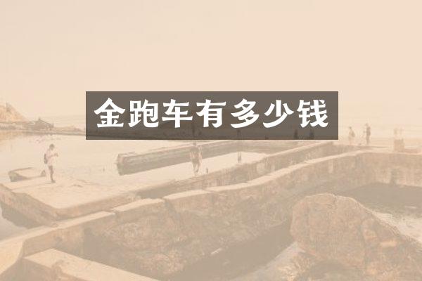 金跑车有多少钱