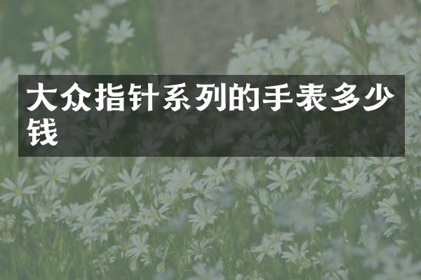 大众指针系列的手表多少钱