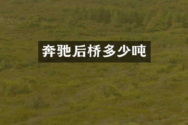 奔驰后桥多少吨