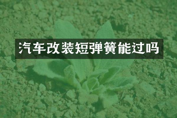 汽车改装短弹簧能过吗