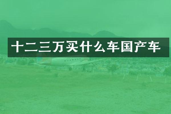 十二三万车国产车