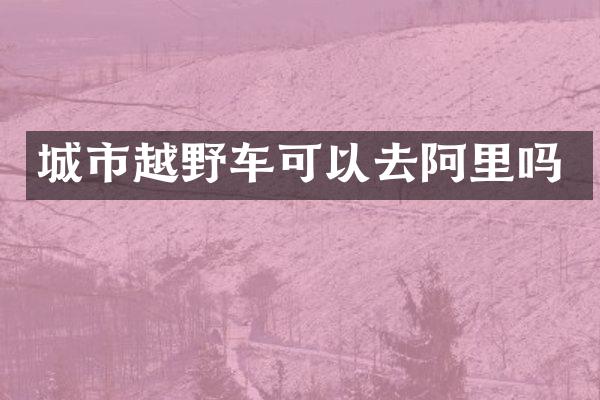 城市越野车可以去阿里吗