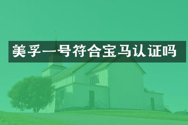 一号符合宝马认证吗