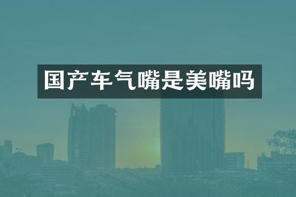 国产车气嘴是美嘴吗
