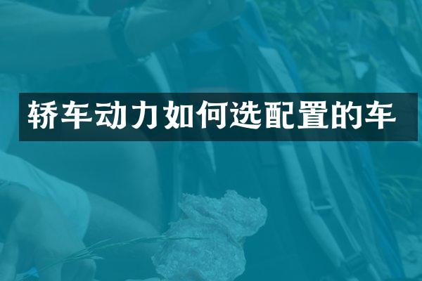 轿车动力如何选配置的车