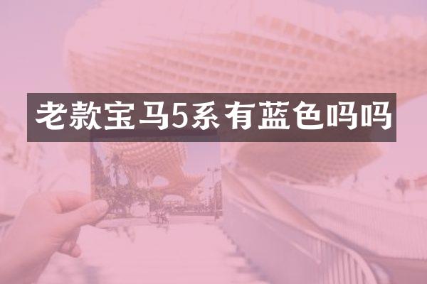 老款宝马5系有蓝色吗吗