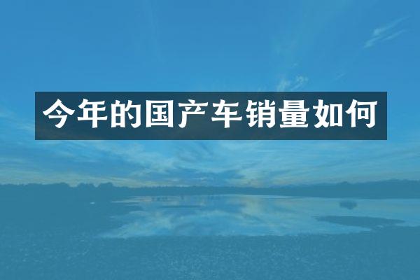 今年的国产车销量如何