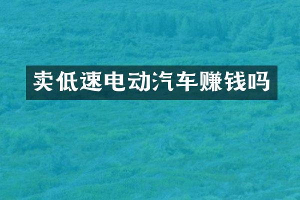 卖低速电动汽车赚钱吗