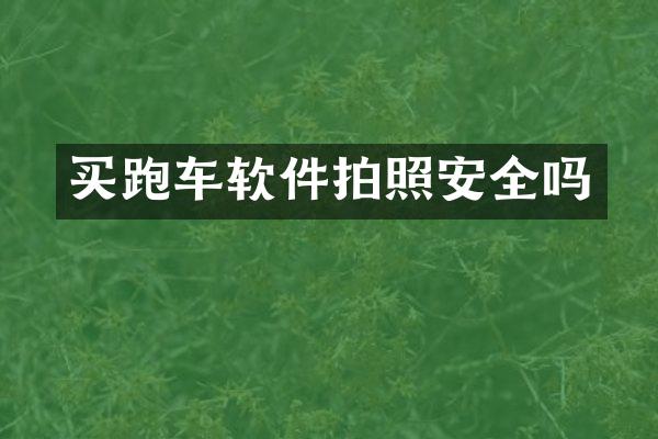 买跑车软件拍照安全吗