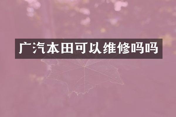 广汽本以维修吗吗