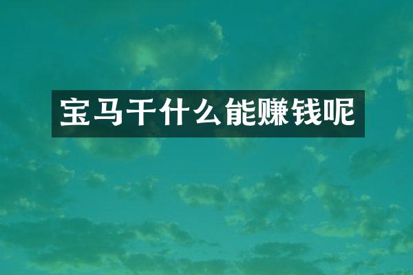 宝马干什么能赚钱呢
