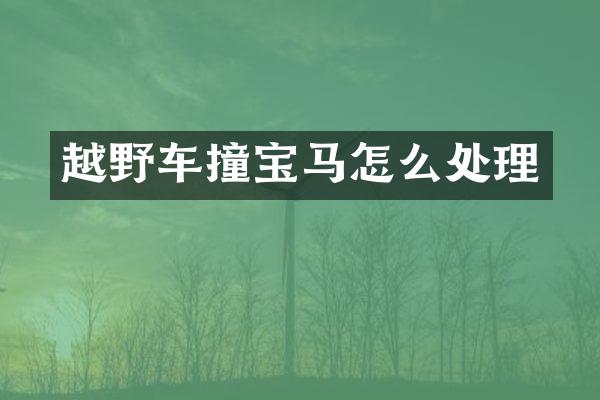 越野车撞宝马怎么处理