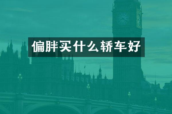 偏胖轿车好