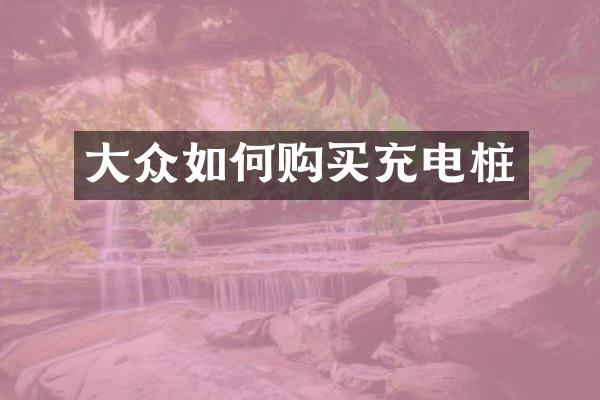 大众如何购买充电桩
