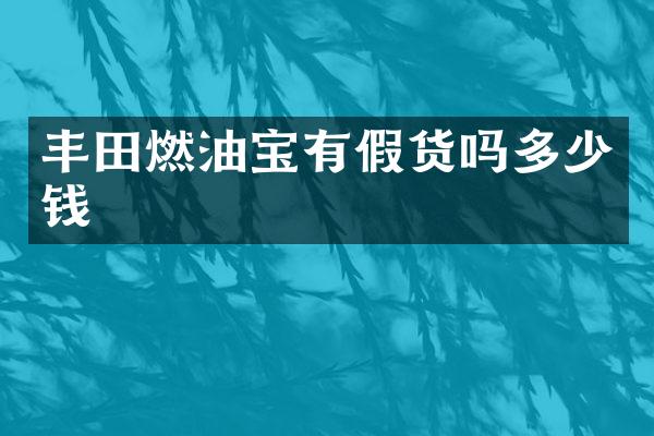 丰田燃油宝有假货吗多少钱