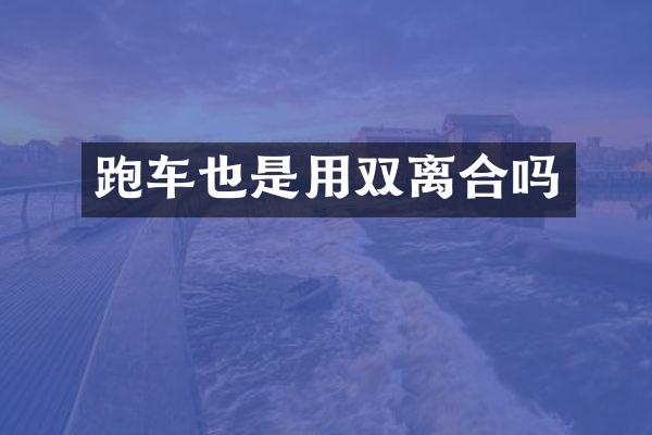 跑车也是用双离合吗