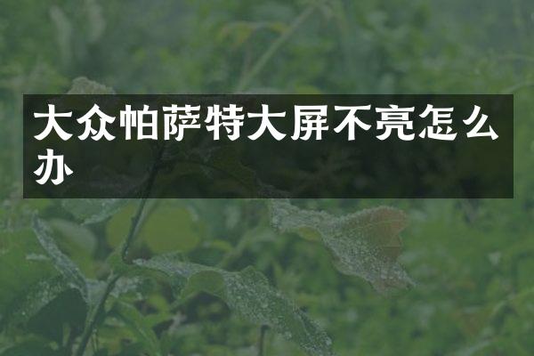 大众帕萨特大屏不亮怎么办