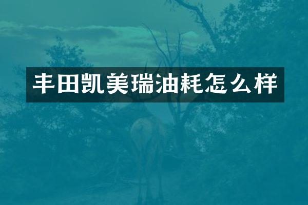 丰田凯美瑞油耗怎么样