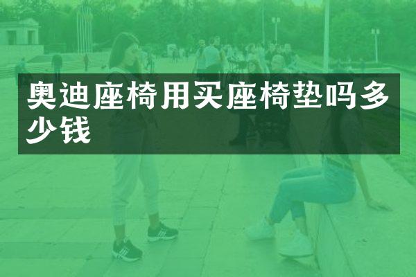 奥迪座椅用买座椅垫吗多少钱