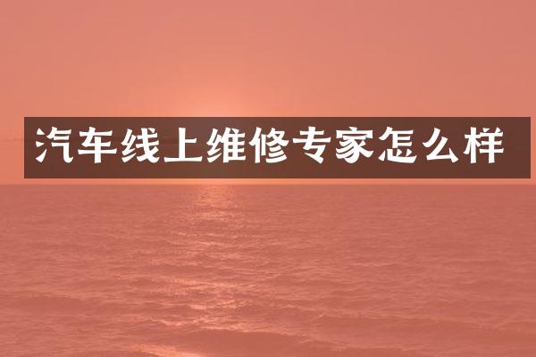 汽车线上维修专家怎么样