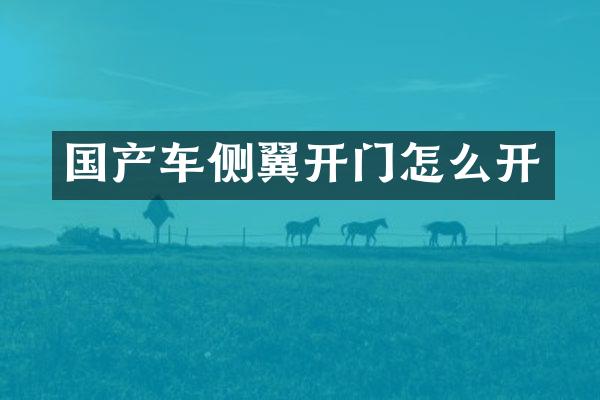 国产车侧翼开门怎么开