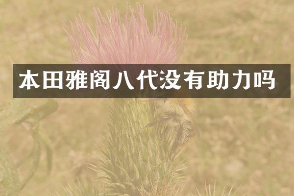 本田雅阁八代没有助力吗