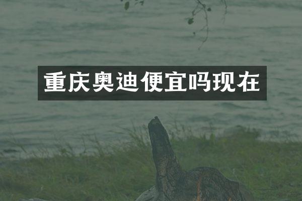 重庆奥迪便宜吗现在