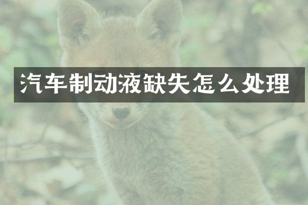 汽车制动液缺失怎么处理