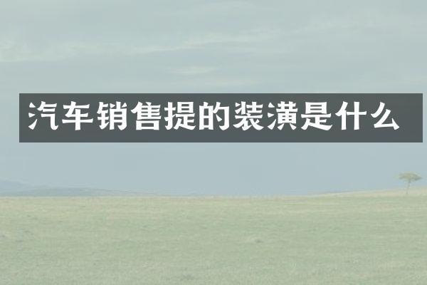 汽车销售提的装潢是什么