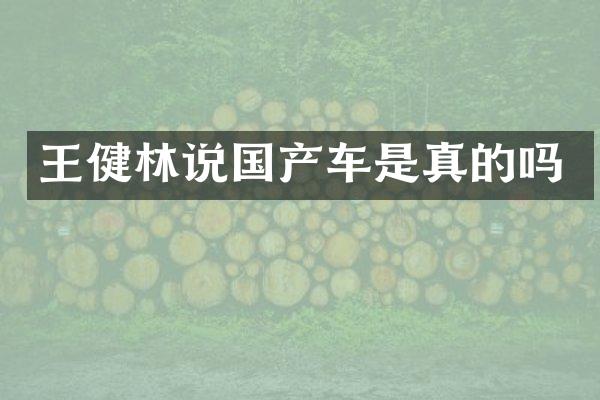 王健林说国产车是真的吗