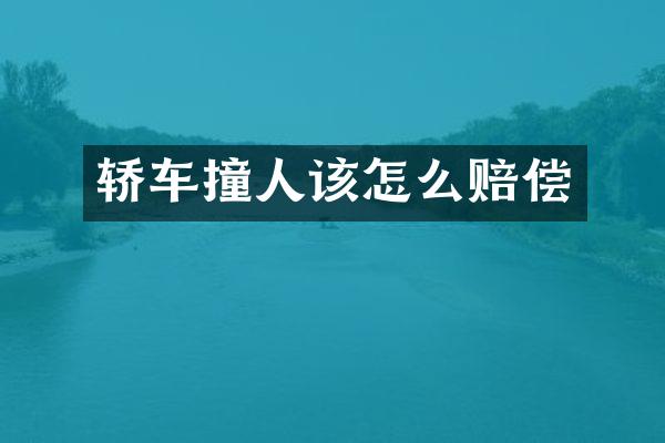 轿车撞人该怎么赔偿