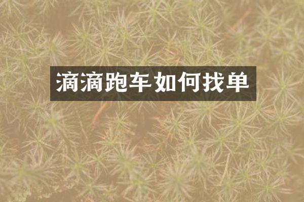 滴滴跑车如何找单