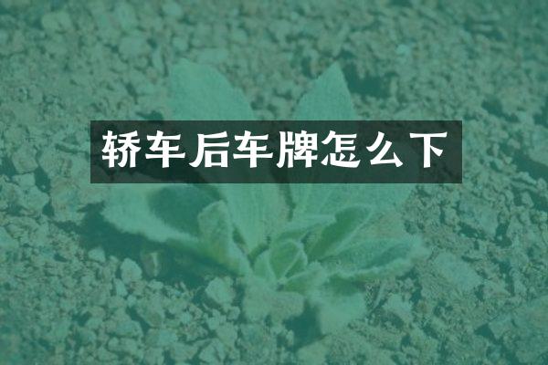 轿车后车牌怎么下