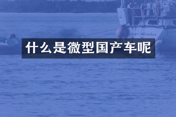 什么是微型国产车呢