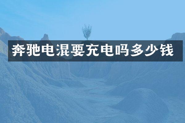 奔驰电混要充电吗多少钱