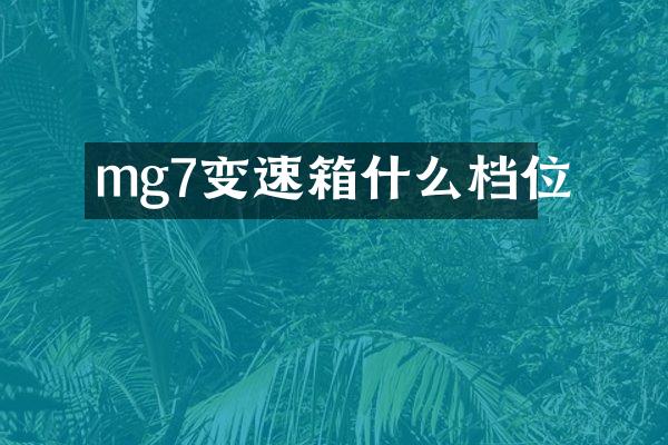 mg7变速箱什么档位