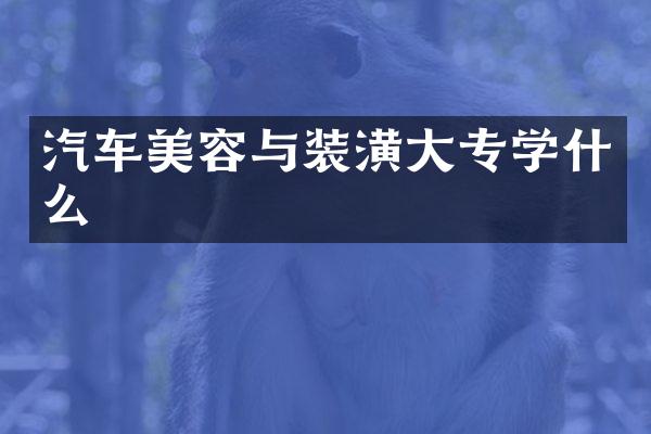 汽车美容与装潢大专学什么