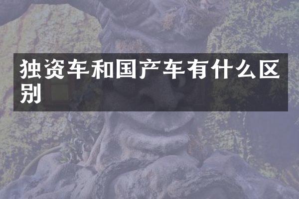 独资车和国产车有什么区别
