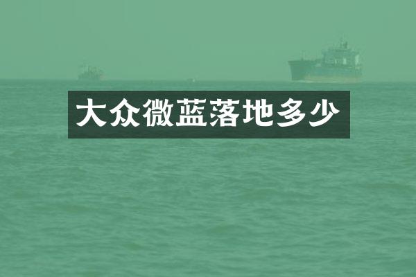 大众微蓝落地多少
